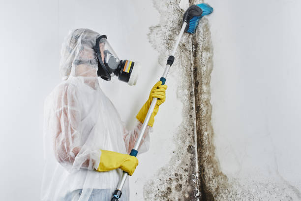 Best Residential Mold Removal  in Lake Holm, WA
