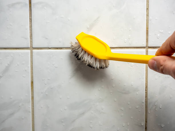 Home Mold Removal in Lake Holm, WA