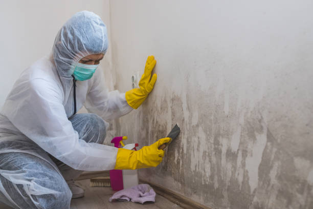 Best Mold Testing  in Lake Holm, WA