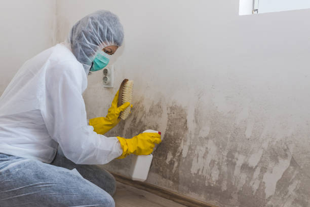 Best Mold Cleaning Services  in Lake Holm, WA