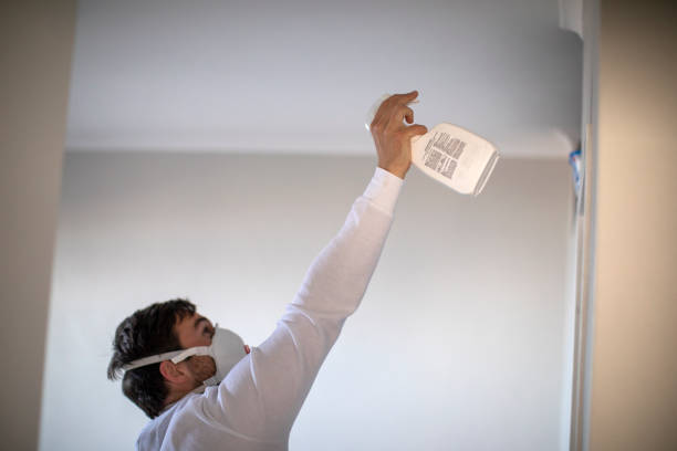 Mold Removal and Inspection in Lake Holm, WA