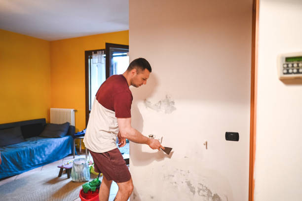 Lake Holm, WA Mold Removal Company